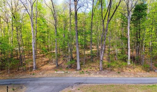 Photo #11 of TBD HESSIAN LN, STAUNTON, VA 4.9 acres