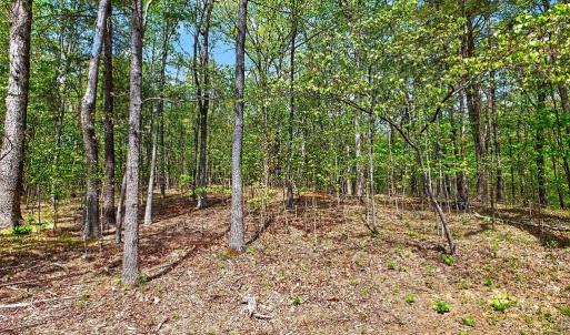 Photo #7 of TBD HESSIAN LN, STAUNTON, VA 4.9 acres