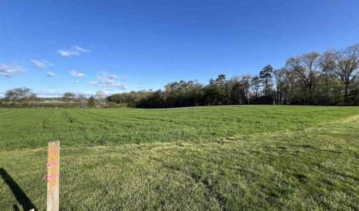 Photo #1 of TBD MORTON RD, CRIMORA, VA 5.0 acres
