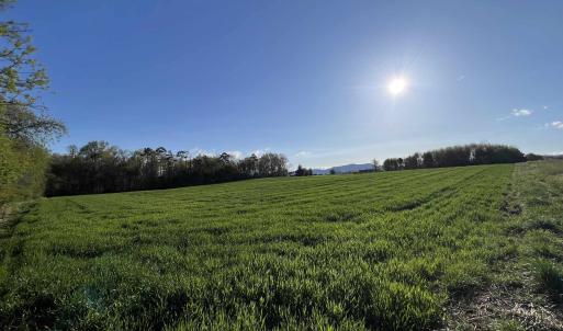 Photo #3 of TBD MORTON RD, CRIMORA, VA 5.0 acres
