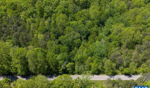 Photo #16 of 3850 COUNTY LINE RD, KENTS STORE, VA 11.4 acres