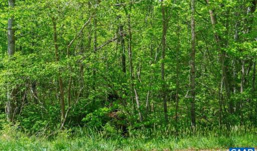 Photo #18 of 3850 COUNTY LINE RD, KENTS STORE, VA 11.4 acres