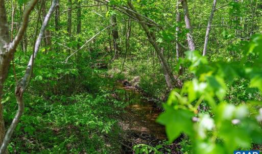 Photo #3 of 3850 COUNTY LINE RD, KENTS STORE, VA 11.4 acres