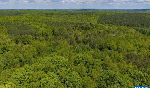 Photo #13 of 3850 COUNTY LINE RD, KENTS STORE, VA 11.4 acres