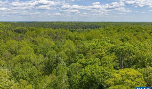 Photo #12 of 3850 COUNTY LINE RD, KENTS STORE, VA 11.4 acres