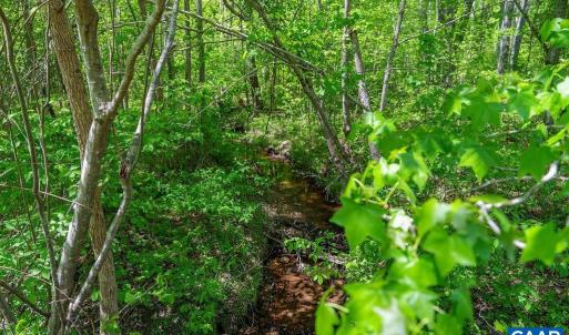 Photo #17 of 3850 COUNTY LINE RD, KENTS STORE, VA 11.4 acres