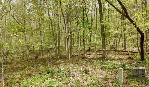 Photo #1 of 37 FLAG ROCK TRL, HOT SPRINGS, VA 7.3 acres