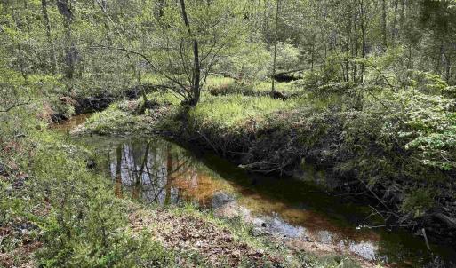 Photo #1 of PADDOCK WOOD RD, ZION CROSSROADS, VA 314.5 acres