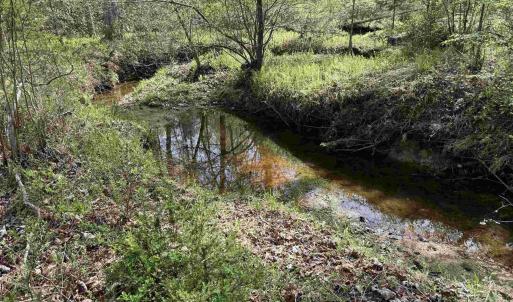 Photo #2 of PADDOCK WOOD RD, ZION CROSSROADS, VA 314.5 acres