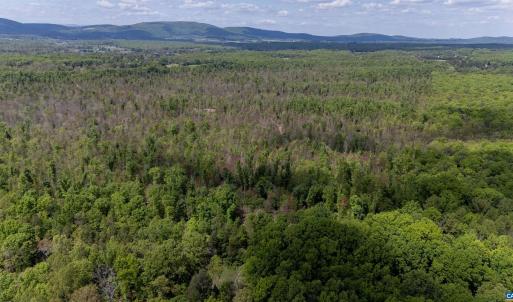 Photo #1 of PADDOCK WOOD RD, ZION CROSSROADS, VA 314.5 acres