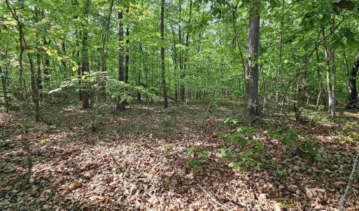 Photo #3 of 6.939 AXTELL RD, HOWARDSVILLE, VA 6.9 acres