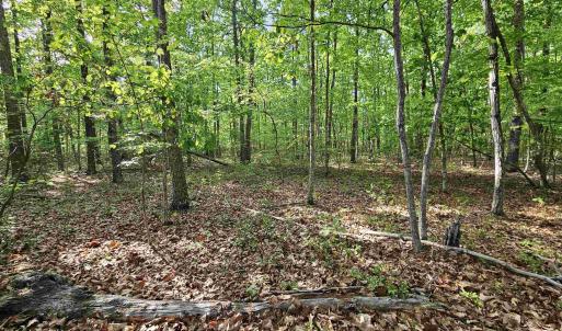Photo #4 of 6.939 AXTELL RD, HOWARDSVILLE, VA 6.9 acres