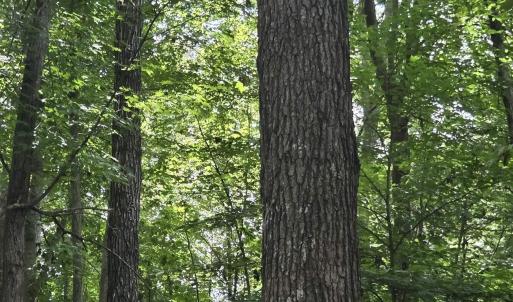 Photo #1 of 85 LAGUNA RD, PALMYRA, VA 0.5 acres