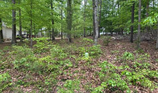 Photo #8 of 4 EAST POINT RD, PALMYRA, VA 0.4 acres