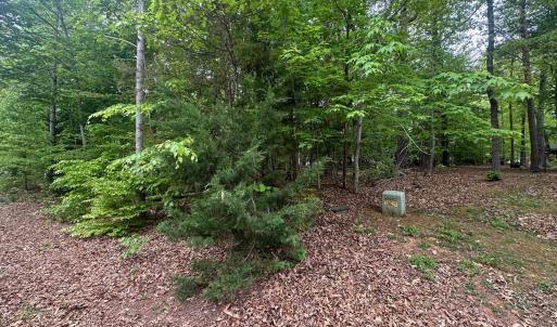 Photo #9 of 4 EAST POINT RD, PALMYRA, VA 0.4 acres