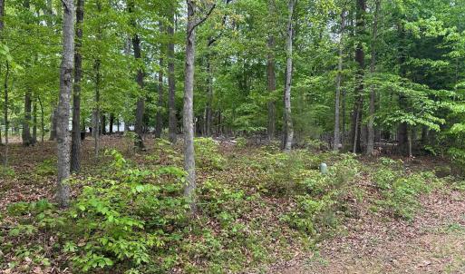 Photo #2 of 4 EAST POINT RD, PALMYRA, VA 0.4 acres