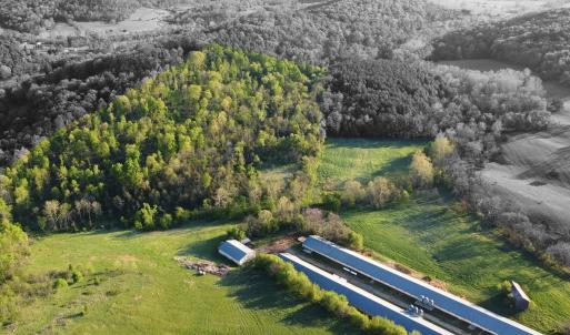 Photo #9 of 189 OAK RIDGE LN, STAUNTON, VA 195.2 acres