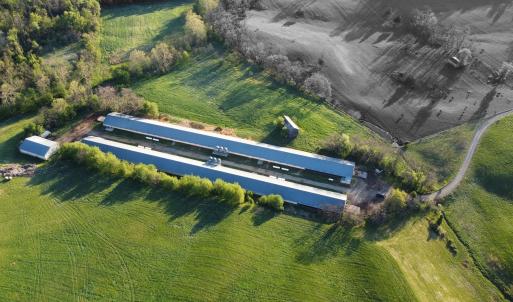 Photo #6 of 189 OAK RIDGE LN, STAUNTON, VA 195.2 acres