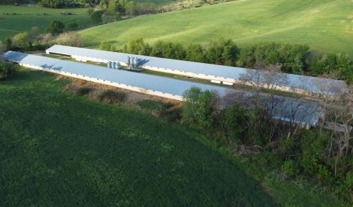 Photo #4 of 189 OAK RIDGE LN, STAUNTON, VA 195.2 acres