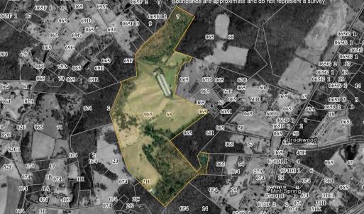 Photo #12 of 189 OAK RIDGE LN, STAUNTON, VA 195.2 acres