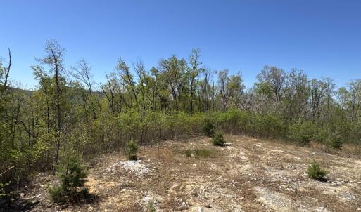 Photo #5 of Lot#5 FOX RIDGE LN, WAYNESBORO, VA 4.1 acres
