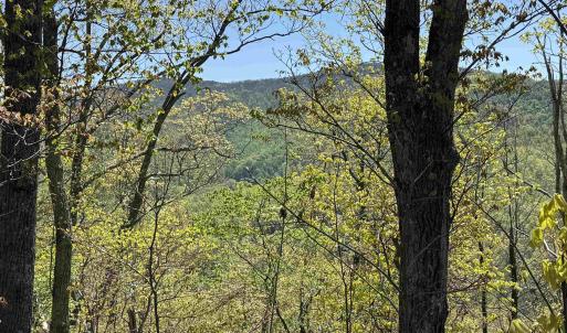 Photo #3 of Lot#5 FOX RIDGE LN, WAYNESBORO, VA 4.1 acres