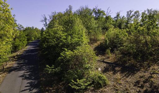 Photo #16 of Lot#5 FOX RIDGE LN, WAYNESBORO, VA 4.1 acres