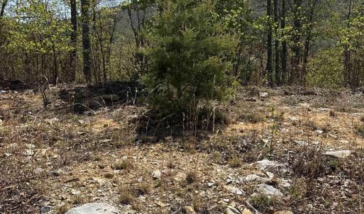Photo #4 of Lot#5 FOX RIDGE LN, WAYNESBORO, VA 4.1 acres