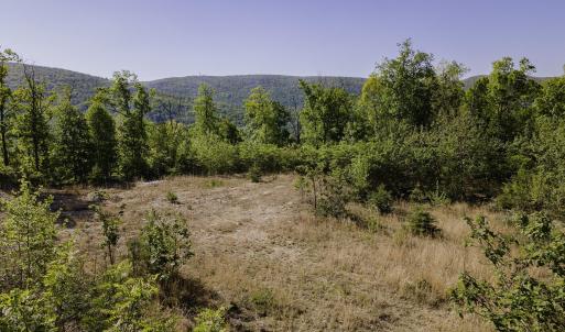 Photo #15 of Lot#5 FOX RIDGE LN, WAYNESBORO, VA 4.1 acres