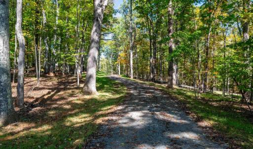 Photo #12 of 7337-4 DICK WOODS RD, AFTON, VA 23.0 acres