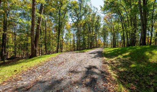 Photo #13 of 7337-4 DICK WOODS RD, AFTON, VA 23.0 acres