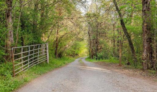 Photo #13 of 137 acres JAMES RIVER RD, HOWARDSVILLE, VA 137.1 acres