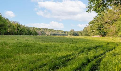Photo #6 of 137 acres JAMES RIVER RD, HOWARDSVILLE, VA 137.1 acres