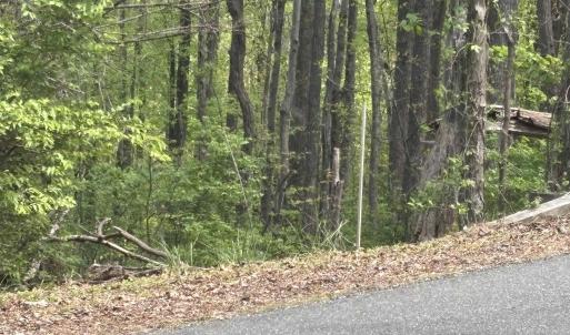 End of guardrail is the right hand side of the 25' row. Access between this and orange tape on lh side off of Reeds Gap Rd.