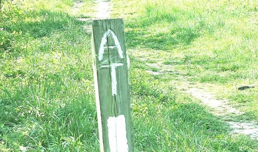 Photo #6 of REEDS GAP RD, LYNDHURST, VA 4.5 acres