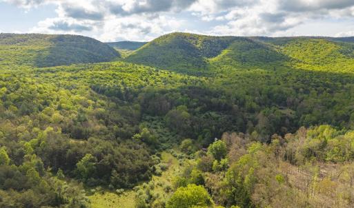 Photo #4 of 161 GLOVER RUN, GOSHEN, VA 64.1 acres
