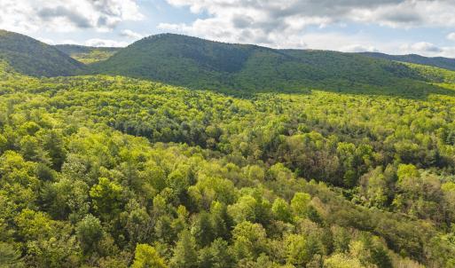 Photo #12 of 161 GLOVER RUN, GOSHEN, VA 64.1 acres