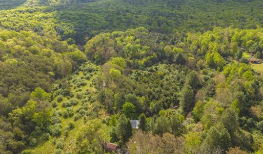 Photo #16 of 161 GLOVER RUN, GOSHEN, VA 64.1 acres