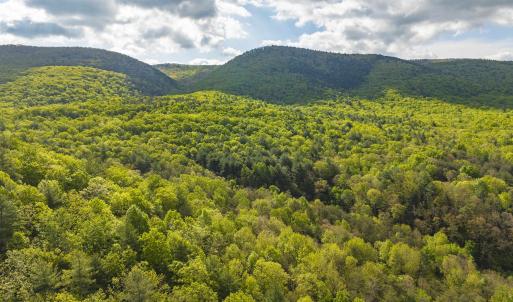 Photo #10 of 161 GLOVER RUN, GOSHEN, VA 64.1 acres