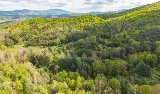 Photo #18 of 161 GLOVER RUN, GOSHEN, VA 64.1 acres