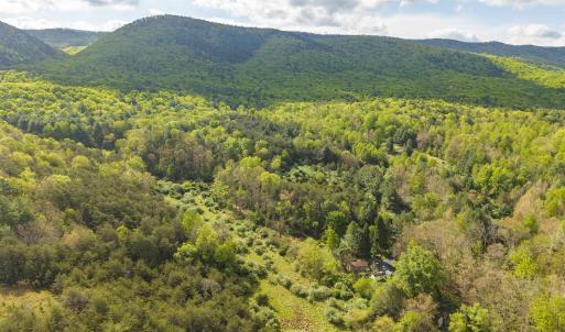 Photo #14 of 161 GLOVER RUN, GOSHEN, VA 64.1 acres