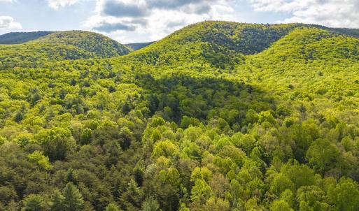 Photo #7 of 161 GLOVER RUN, GOSHEN, VA 64.1 acres