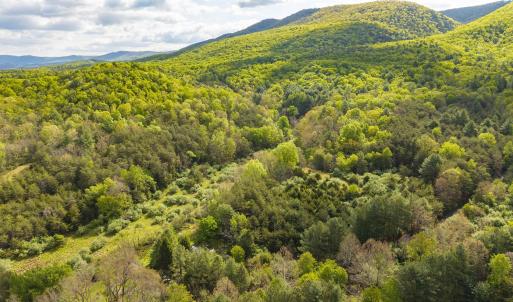 Photo #2 of 161 GLOVER RUN, GOSHEN, VA 64.1 acres