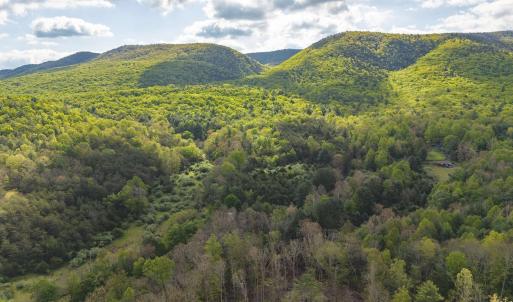 Photo #3 of 161 GLOVER RUN, GOSHEN, VA 64.1 acres