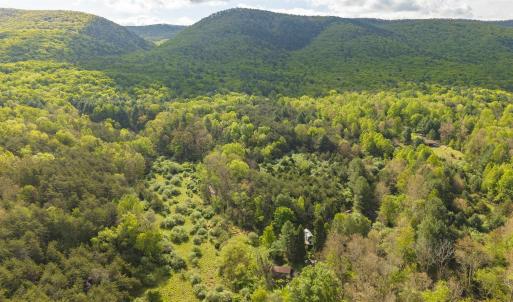 Photo #15 of 161 GLOVER RUN, GOSHEN, VA 64.1 acres