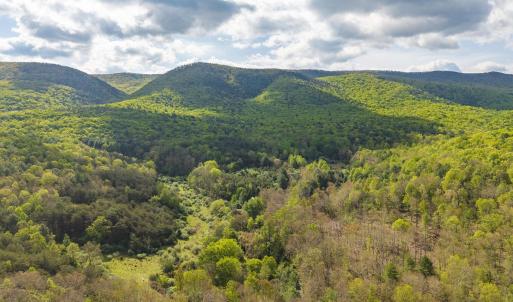 Photo #5 of 161 GLOVER RUN, GOSHEN, VA 64.1 acres