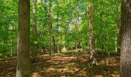 Photo #2 of TBD KESWICK LN, KESWICK, VA 3.0 acres