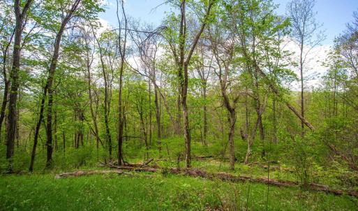 Photo #6 of CHURCH MOUNTAIN LN, FULKS RUN, VA 16.0 acres