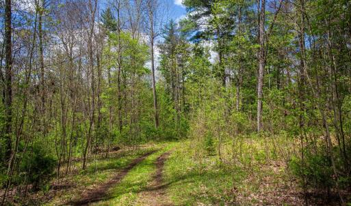 Photo #2 of CHURCH MOUNTAIN LN, FULKS RUN, VA 16.0 acres