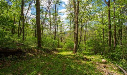 Photo #3 of CHURCH MOUNTAIN LN, FULKS RUN, VA 16.0 acres